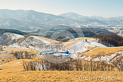 Daegwallyeong sheep ranch winter mountain in Pyeongchang, Korea Stock Photo