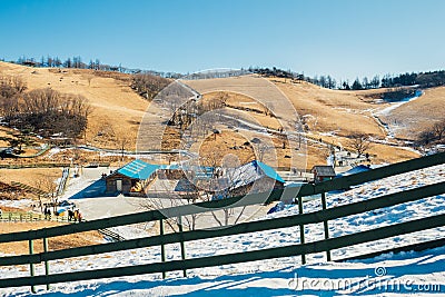 Daegwallyeong sheep ranch at winter in Pyeongchang, Korea Stock Photo