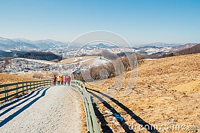 Daegwallyeong sheep ranch winter mountain in Pyeongchang, Korea Stock Photo