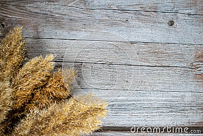 Dry grass on a grey wooden background. Dry flowers, straw. Stock Photo