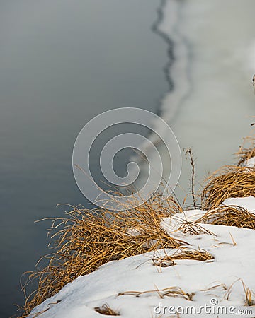 Dry grass in the snow against the background of melting ice in the river. Natural background Stock Photo