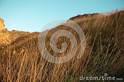 Dry grass in the steppe with hills and canyons, photo. Nature, wildlife and landscape Stock Photo
