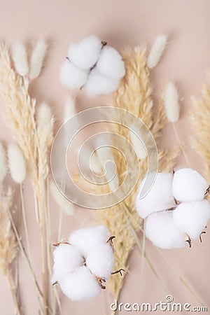 dry grass under glass. Dried grass with glass bottle isolated Stock Photo