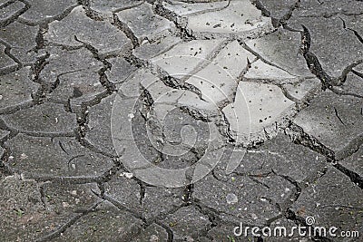 Dry Ground Cracking Because of a Hot and Dry Weather Stock Photo