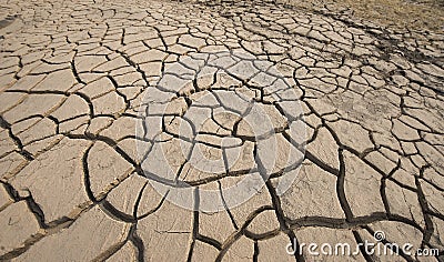 Dry ground surface Stock Photo