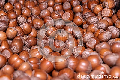 Close up of hazelnuts in the shell Stock Photo