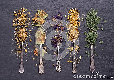 Dry herbs used in alternative medicine in spoons on black stone background Stock Photo