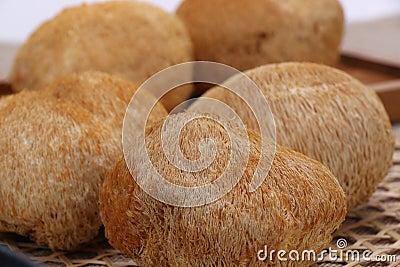 Dry Hericium erinaceus. Antioxidant, dessert. Stock Photo