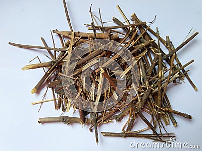 Dry Kiratatikta or Swertia chirata is a very famous Ayurvedic herb Stock Photo