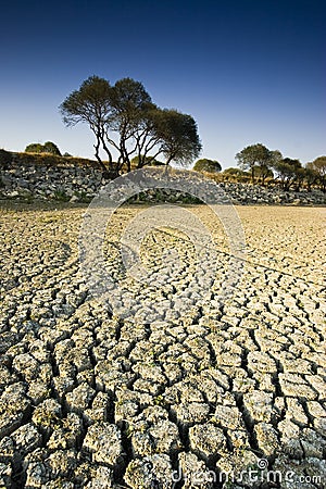 Dry Lake Stock Photo