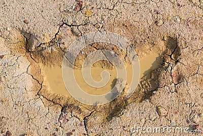 Dry land with broken soil represent hot weather and global warming. Aerial view showing low water level . Climate change and droug Stock Photo