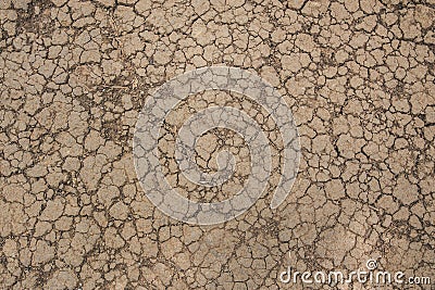 Dry land. Cracked ground background. Stock Photo