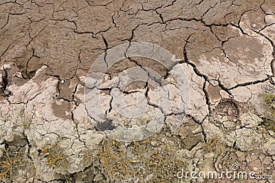 Dry land, Cracked ground. Stock Photo