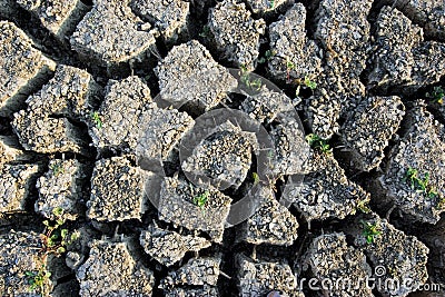 Dry Land Texture Stock Photo
