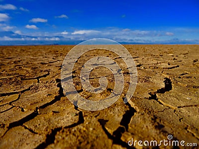 Dry lands. Stock Photo