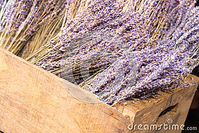 Dry lavender blossoms Stock Photo
