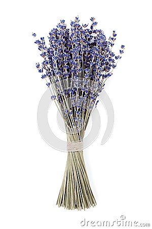 Dry lavender bouquet isolated on white background. Stock Photo