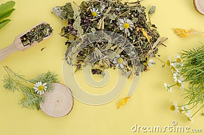 Dry medicinal herbs for alternative medicine and tea on yellow background, flat lay Stock Photo