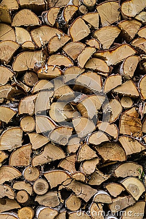 Dry Mixed Firewood Texture Background Stock Photo