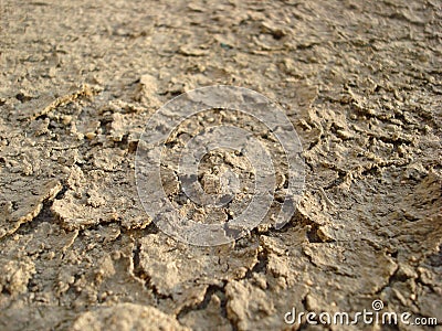 Dry Mud Stock Photo