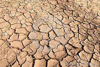 Dry Mud Stock Photo