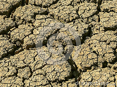 Dry mud cracked from drought Stock Photo