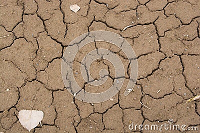 Dry mud Stock Photo