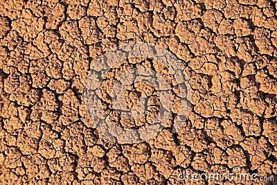 Dry mud cracked pattern in desert ground , natural texture of Earth Stock Photo