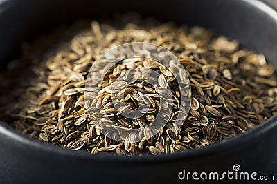 Dry Organic Tarragon Seed Spice Stock Photo