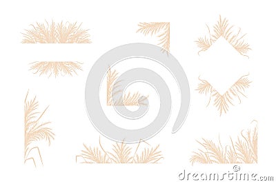 Dry pampas grass. Set of floral border frames design. Beige cortaderia in boho style. Vector flowers isolated on white Vector Illustration