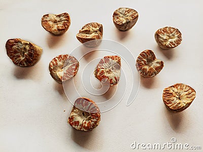 Dry peeled betel nut Stock Photo