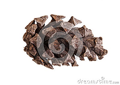 Dry pine cone isolated on white Stock Photo