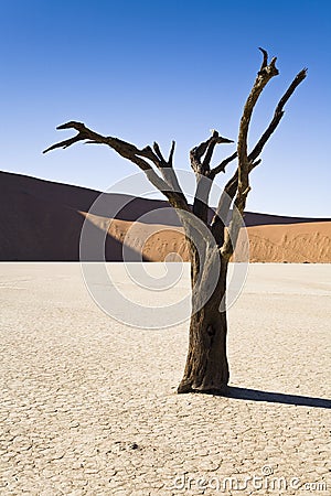 Dry Planet Stock Photo