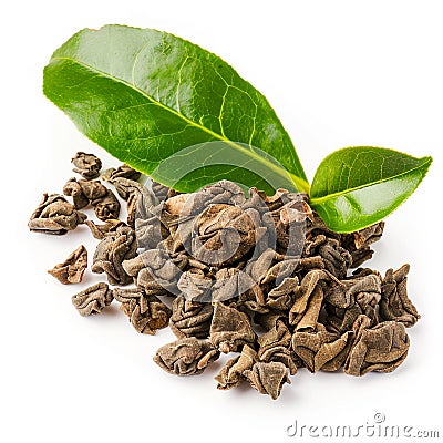 Dry Puerh tea with fresh tea tree leaf on white background Stock Photo