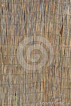 The dry reeds fence. Yellow and brown reeds texture Stock Photo