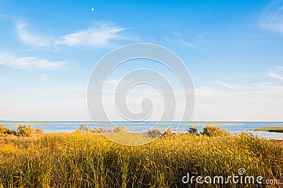 Dry reeds under the water. Horizon sky and clouds Stock Photo