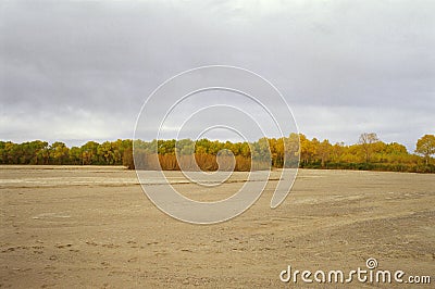 Dry river and the trees Stock Photo