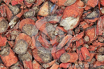 Dry root pieces of red sage, Salvia miltiorrhiza Stock Photo