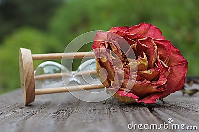 Dry Rose and Broken Hourglass Stock Photo