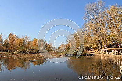 Autumn 2020. Trees and lake in autumn Stock Photo