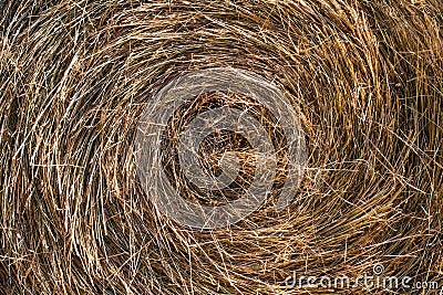 Dry round hay stack natural background, close up Stock Photo