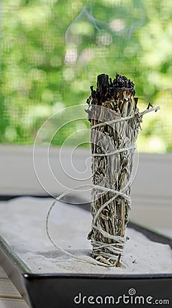 Dry sage sticks Stock Photo
