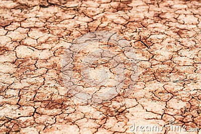 Dry saline soil surface for background texture Stock Photo