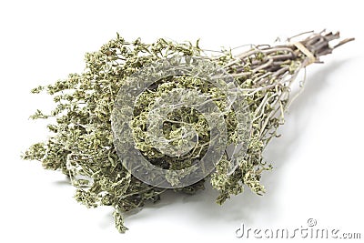Dry Savory Bunch on White Stock Photo