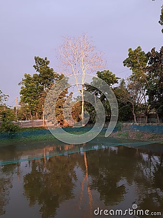 Dry season in winter pond & blue sky Stock Photo