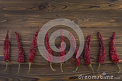 Dry the sharp chili pepper. against the background Stock Photo