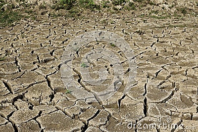 Dry soil Stock Photo