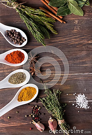 Dry spices and green herbs Stock Photo