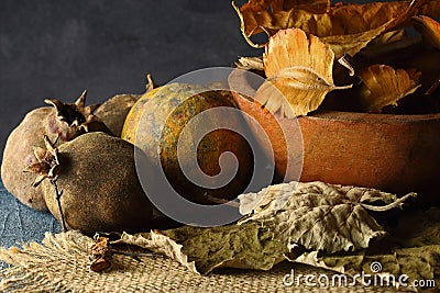 DRY SPOILT FRUIT AND A WOODEN BOWL WITH GOLDEN TONED LEAVES AND SEED PODS Stock Photo