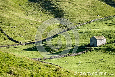 Dry Stone Walls and Barns - Yorkshire Dales, England, Stock Photo